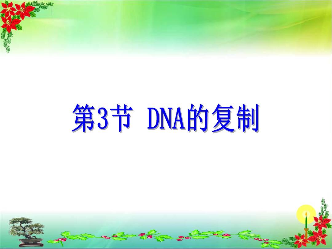 DNA的复制(动画)