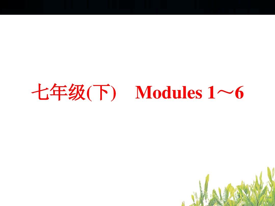 中考英语(外研版)总复习：第一篇 教材梳理&跟踪训练 七年级(下) Modules 1～6