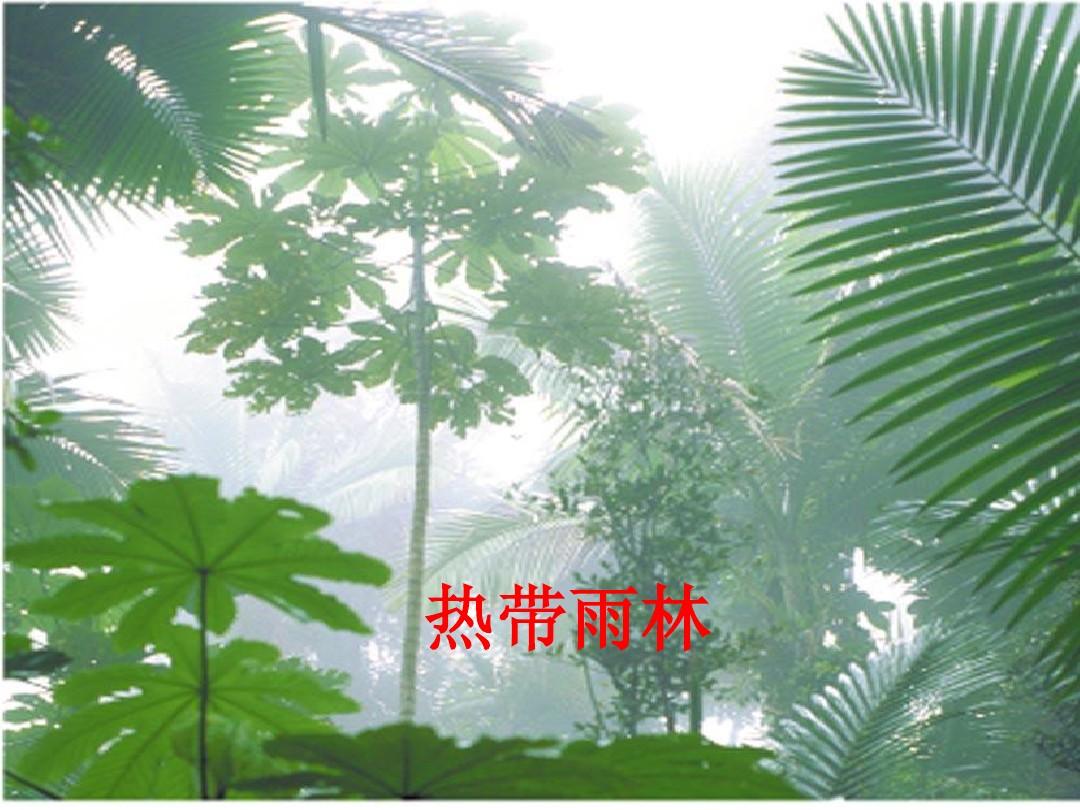 7.2 我国的植物资源 课件(北师大版七年级上)(1)